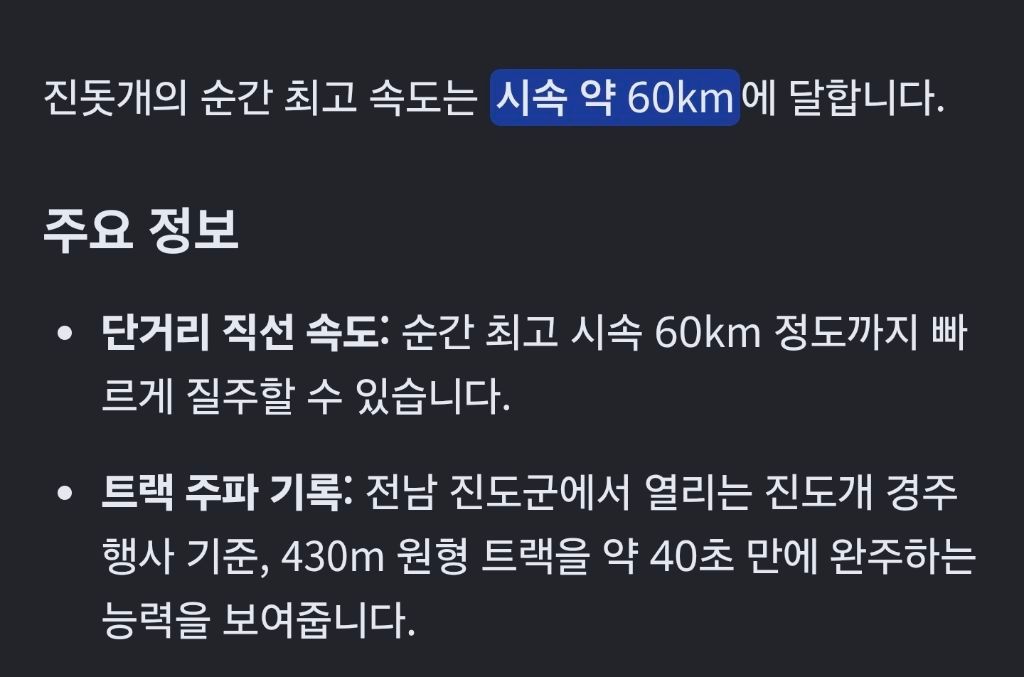 최고속도 60k 진돗개 전력질주 하는 모습