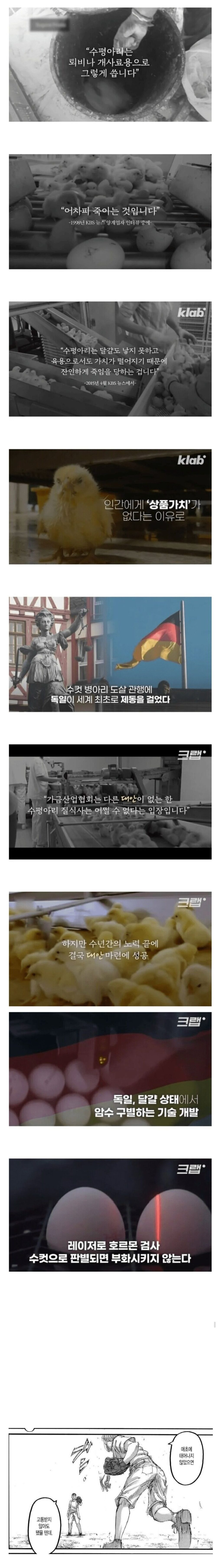 태어나자마자 죽는 생명체.jpg