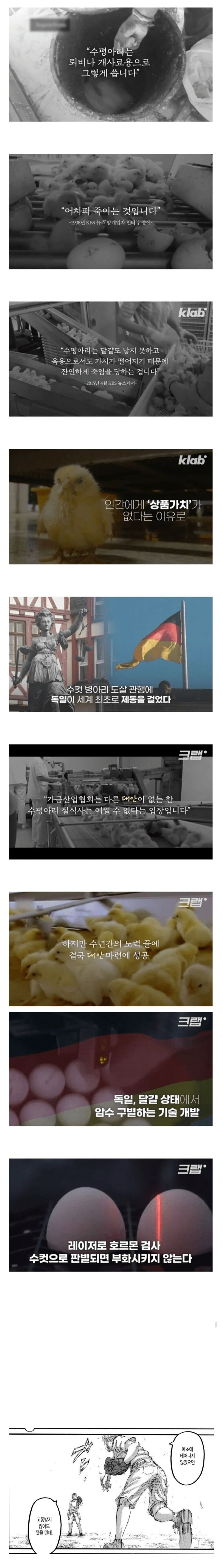 태어나자마자 죽는 생명체.jpg