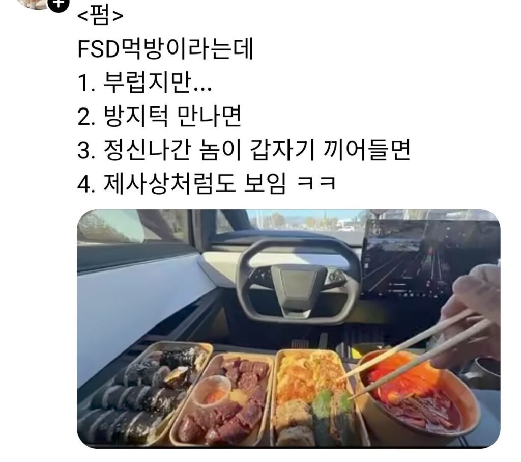 테슬라 FSD 켜고 분식 먹방 하는 운전자