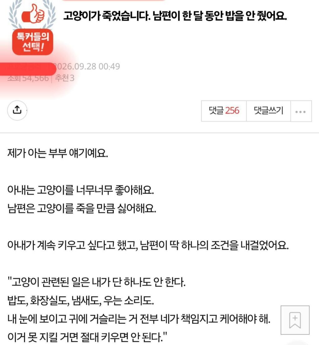(판)남편이 고양이를 굶겨 죽였어요.jpg