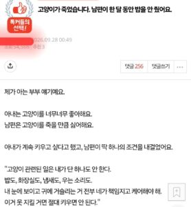 (판)남편이 고양이를 굶겨 죽였어요.jpg