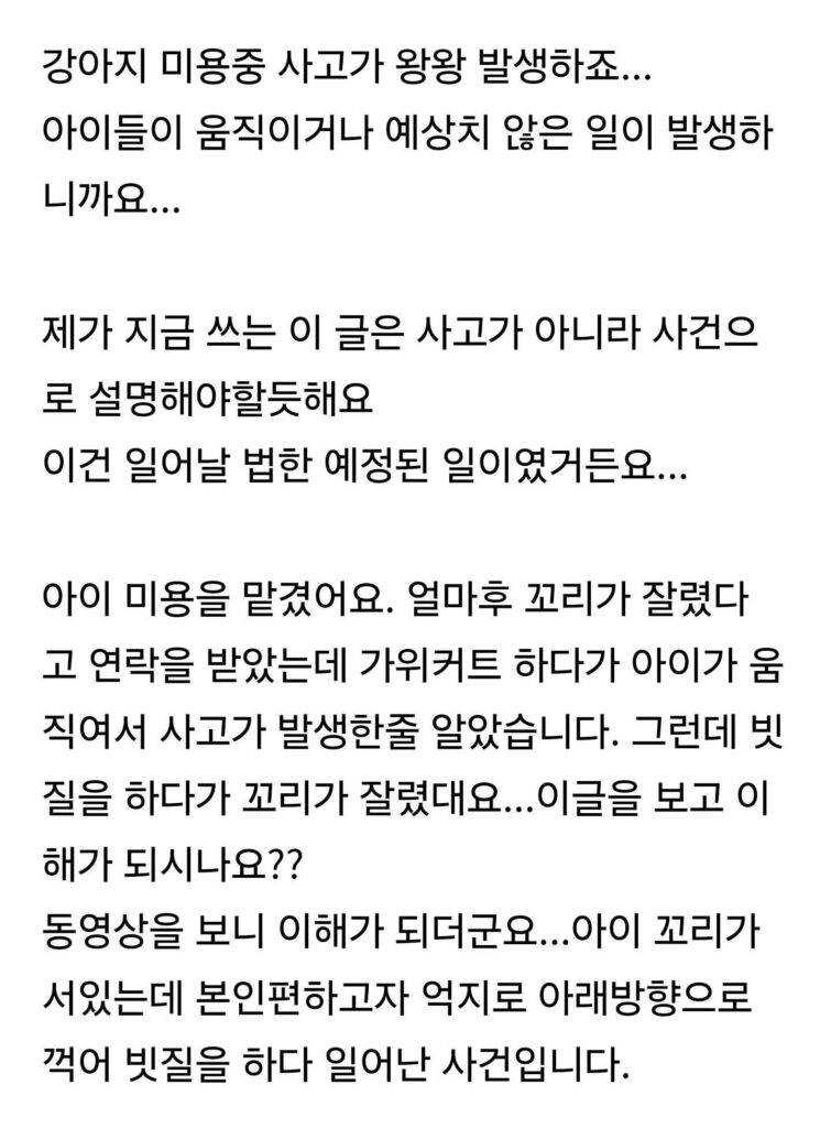 강아지 미용중 꼬리 끊어짐...