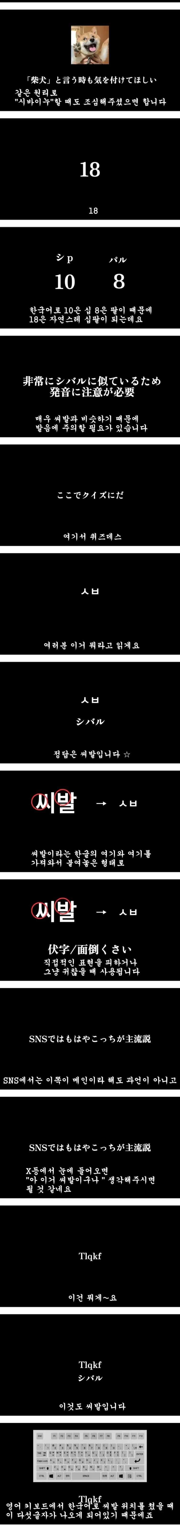일본인 유튜버가 설명해주는 씨발.jpg