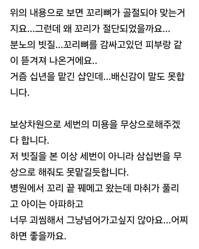 강아지 미용중 꼬리 끊어짐...