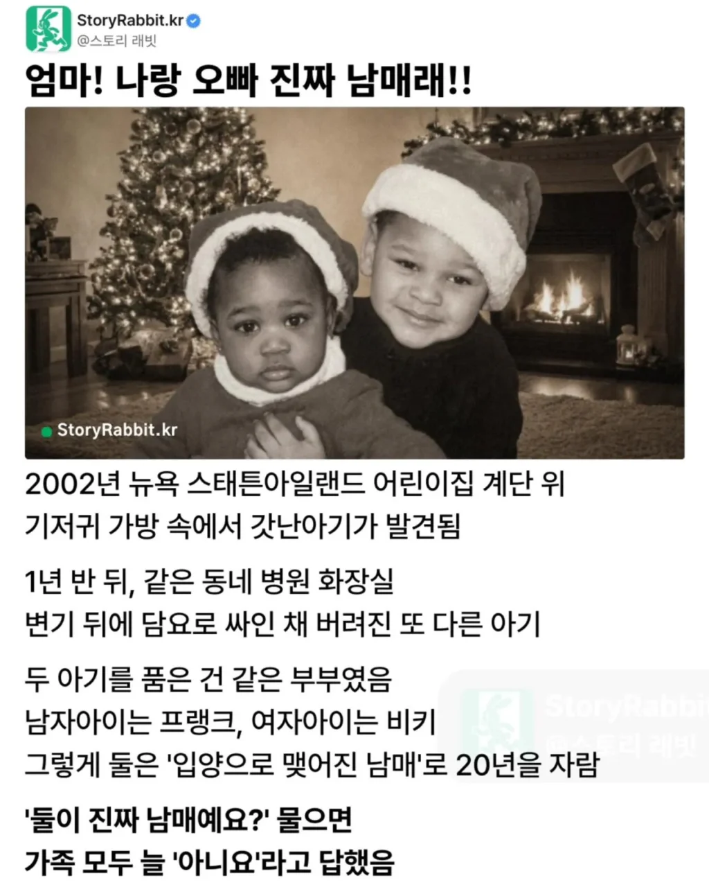 따로 입양돼 20년을 함께 자란 남매의 비밀.jpg