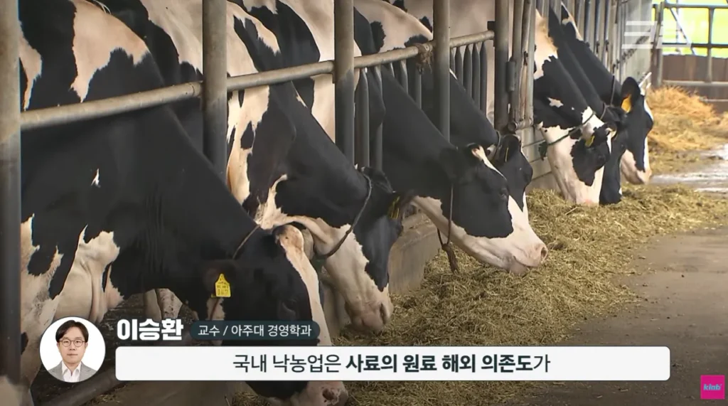 40년만에 최저수준을 찍었다는 우유 소비.news