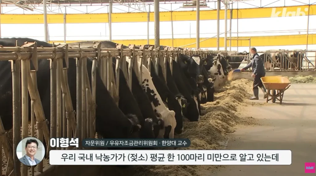 40년만에 최저수준을 찍었다는 우유 소비.news