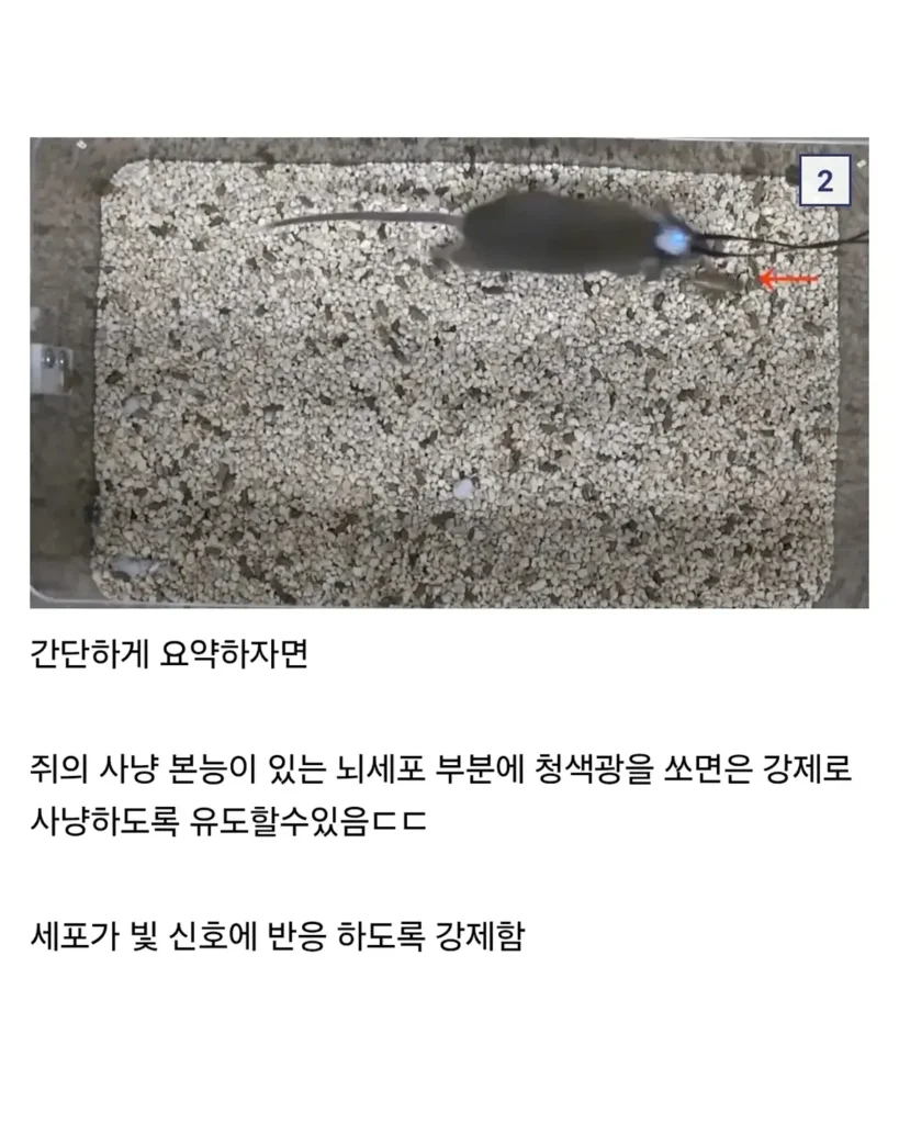 충격적이라는 이번 노벨 의학상 ㄷㄷㄷㄷ