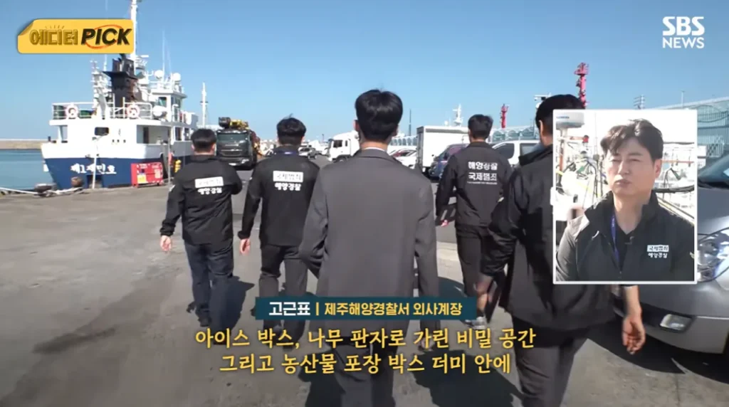 소문나버린 불체자 루트 : 제주도.news