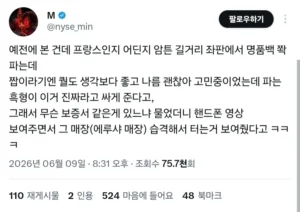 명품을 싸게 사고 싶으면 지금 꼭 프랑스로 가야함