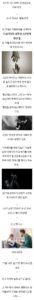 부모님 앞에서 투신 자살한 중학생