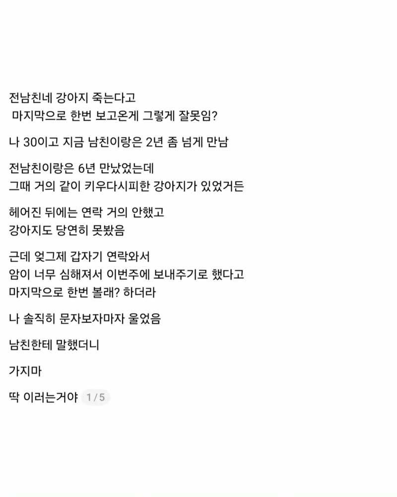 전남친네 강아지 죽는다고 마지막으로 한번 보고온게 그렇게 잘못임?.jpg