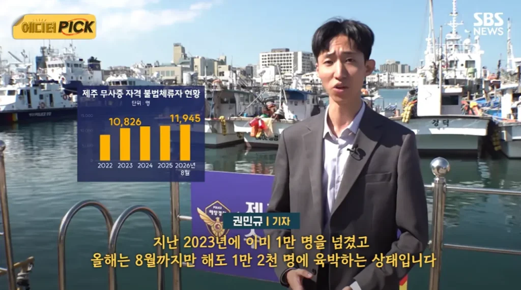 소문나버린 불체자 루트 : 제주도.news