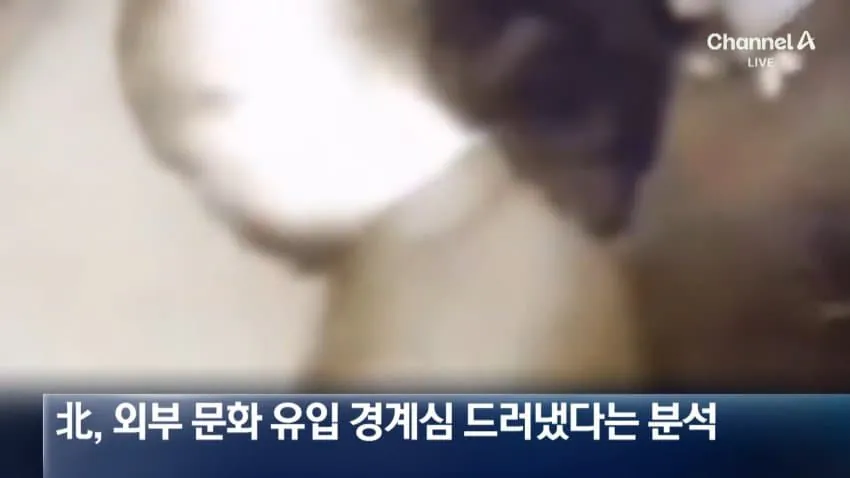 "한국 드라마 본 것 후회" 처벌 받고 흐느낀 북한군…