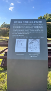 무덤에 올라가 웨딩촬영한 커플