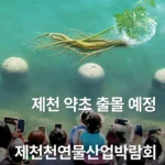 부산 북항 상어 인파가 질투났던 충북 제천시