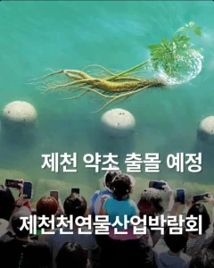 부산 북항 상어 인파가 질투났던 충북 제천시