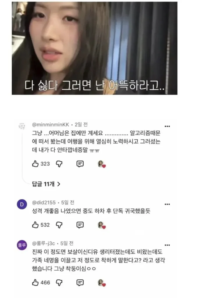 댓창 난리난 효도여행 유튜브.jpg