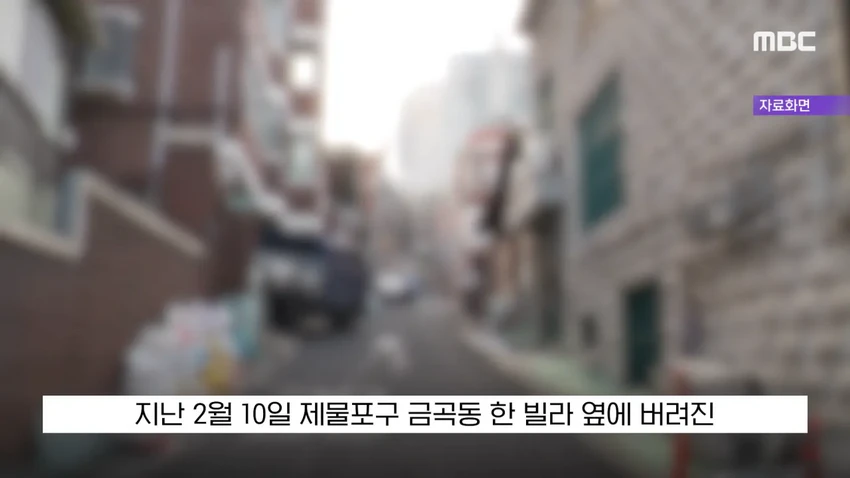 '현금 2천5백만 원을 주웠다'?..당장 경찰서 가야하는 이유.news