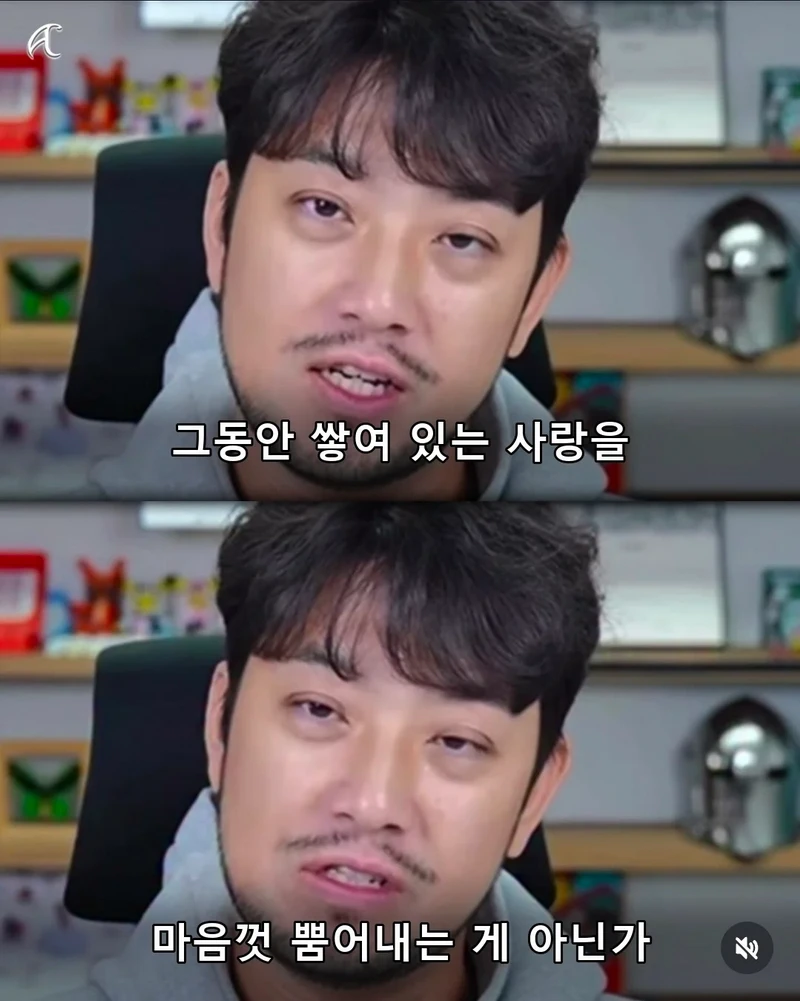부캉이 사태를 본 침착맨의 말.jpg