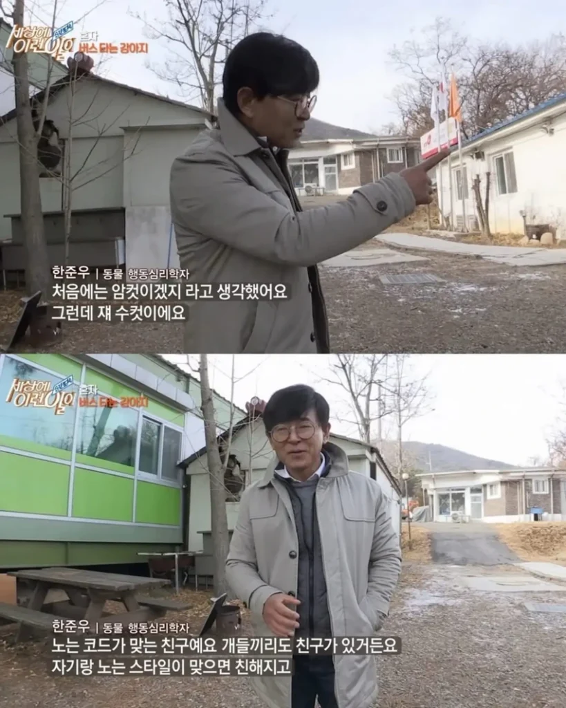 고전] 친구 만나러 혼자 버스타고 5km를 무임승차하는 초롱이.jpg