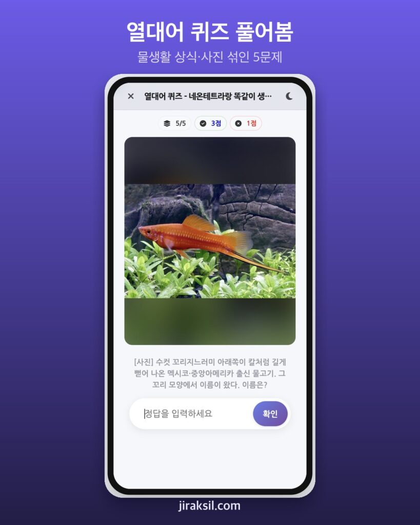 "네온테트라랑 똑같이 생긴 이 물고기는?"… 어항 속 물생활 30문제 '열대어 퀴즈', 직접 풀어보니 '5문제 중 4개'