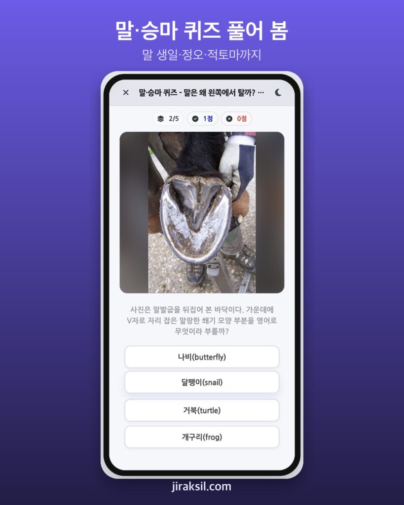 "경주마 생일은 모두 같은 날?"… 사진으로 푸는 말·승마 퀴즈 38문제, 직접 풀어 보니