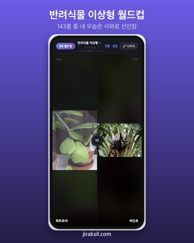 "내 방에 들일 식물 하나만 고른다면?"… 반려식물 143종 월드컵, 첫 우승은 '사와로 선인장'