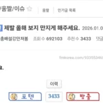 19 어느 펨코인의 새해소원