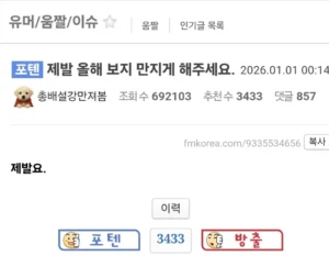 19 어느 펨코인의 새해소원