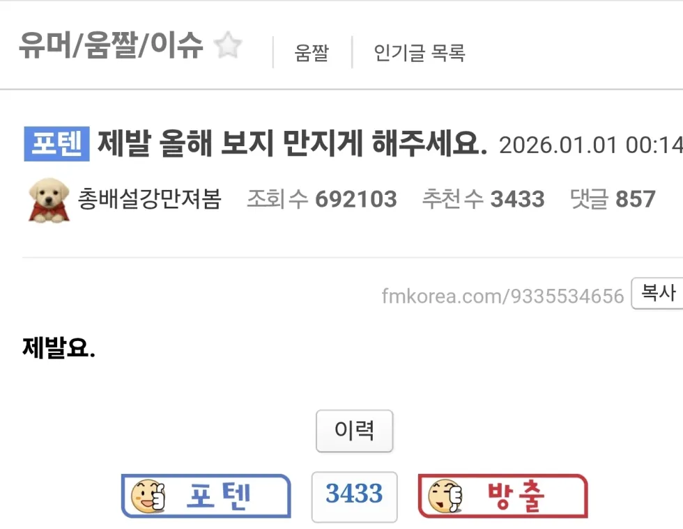 19 어느 펨코인의 새해소원