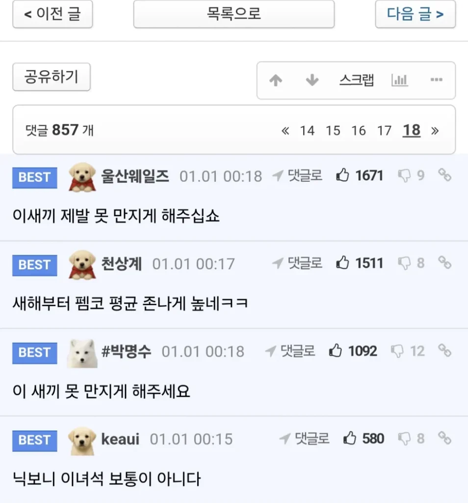 19 어느 펨코인의 새해소원
