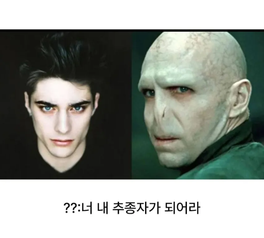 볼드모트가 영생해보겠다고 포기한 얼굴.jpg