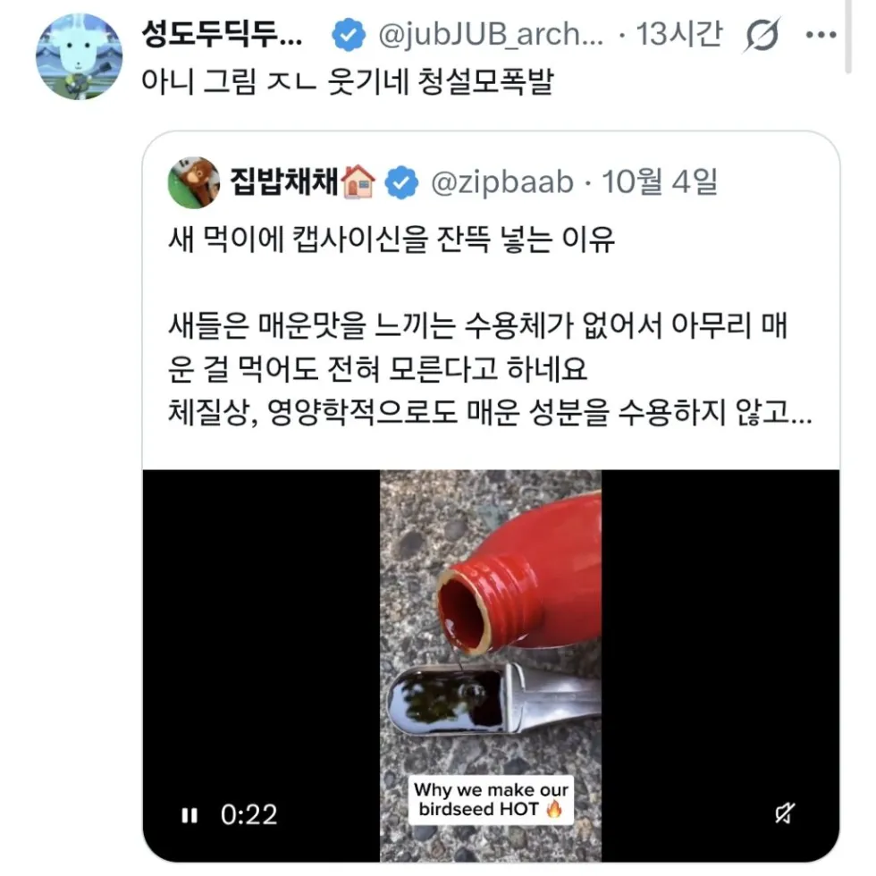 새 먹이에 캡사이신 섞어줌.jpg