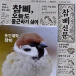 전체 경우의 수를 다 넣은 중국집.jpg