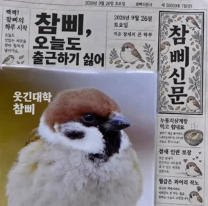 전체 경우의 수를 다 넣은 중국집.jpg