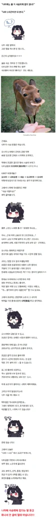 진짜 이 말 들을 때마다 개긁힙니다.