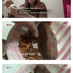 4주간 ‘무설탕’ 생활하면 몸에서 일어나는 변화