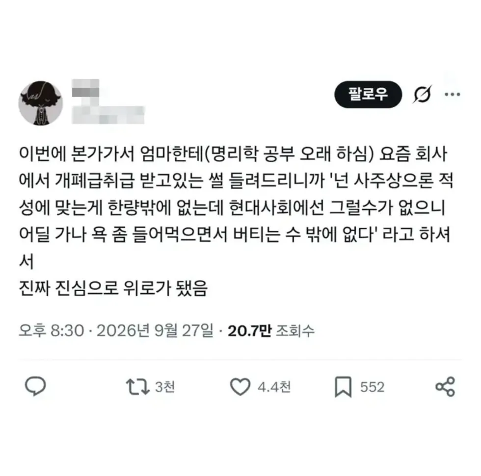 명리학 공부하신 어머니께 위로받은 트위터인