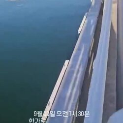 부캉이 오늘(30일) 아침 근황.mp4