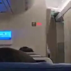 아시아나항공 기내무료와이파이 써본 사람.gif