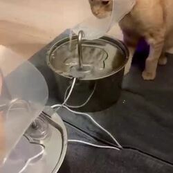 이 물을 어떻게 마셔야 하지?