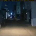 어두운 골목길에서 울고있는 아이를 발견한 배달기사의 반응