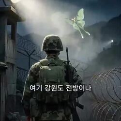 군대 다녀온 사람만 아는 전설의 곤충, 기억나시나요?