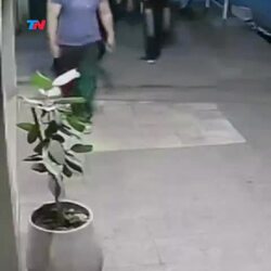 술 취한 청년들이 이유없이 남의 화분을 깨부수고 다음날 한 행동