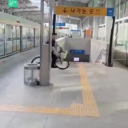한국 지하철 중국인 근황.gif