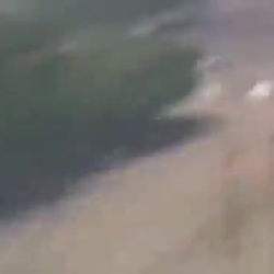 최근 공개 되었다는 중국 천안문 사태 영상
