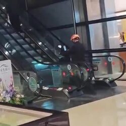 에스컬레이터 타고 올라가려는데 잘 안되네