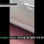 비보호 좌회전인데 왜 안 가냐는 아줌마